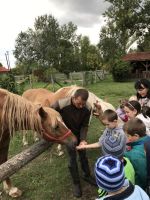 Gyerekek a lovasfarmon